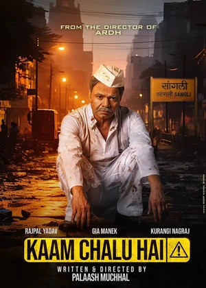 Kaam Chalu Hai 2024 Hindi Dual Audio WEB-DL | Hindi Dubbed Movie