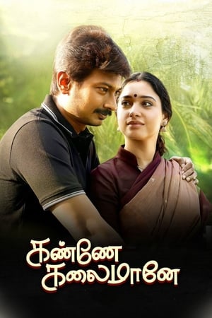 Kanne Kalaimaane 2019 (Hindi - Tamil) Dual Audio | Hindi Dubbed Movie UnCut HDRip 450MB